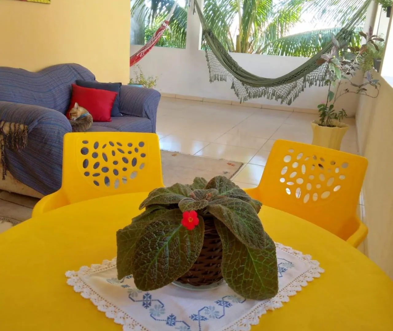 펜션 Villa Brenaipa Pôrto das Galinhas 브라질